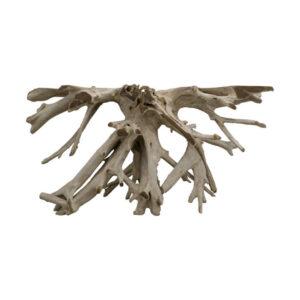 ROOT